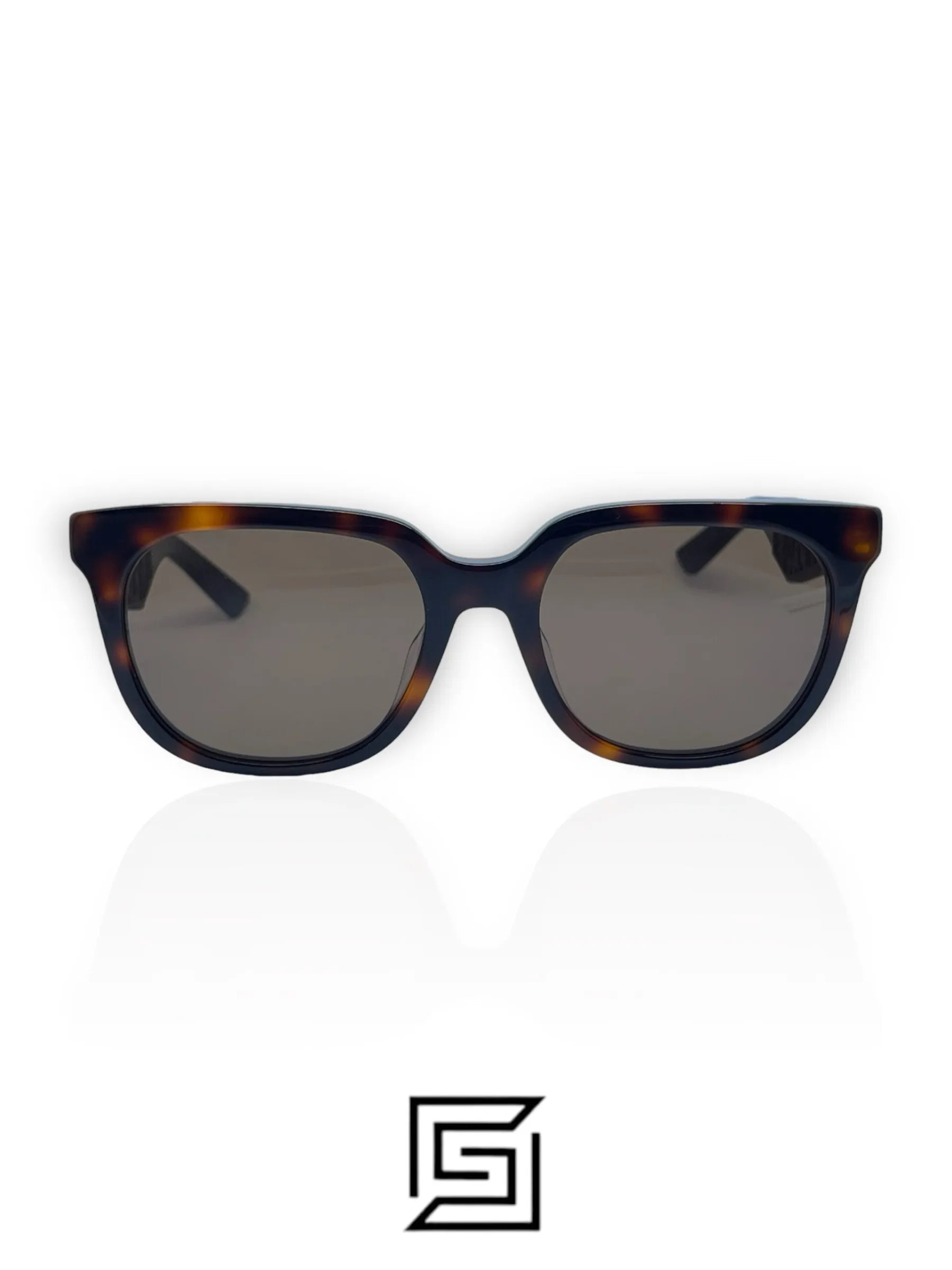 sunglasses DIOR B27 90A0/TIGER X BROWN