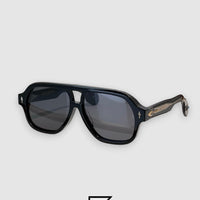 WILD HORSE Sunglasses - black