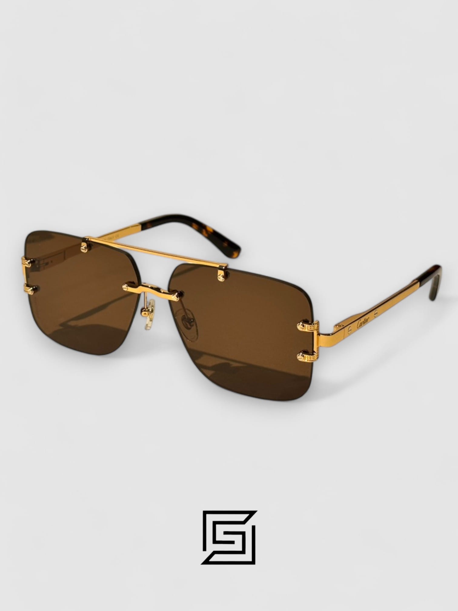 CARTEIR Sunglasses CT8160 - brown